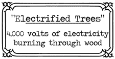 The label used