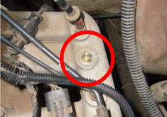 Old hole plugged up